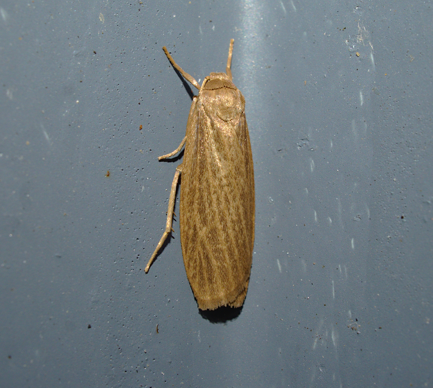A solid find for 6-3_20200908.jpg